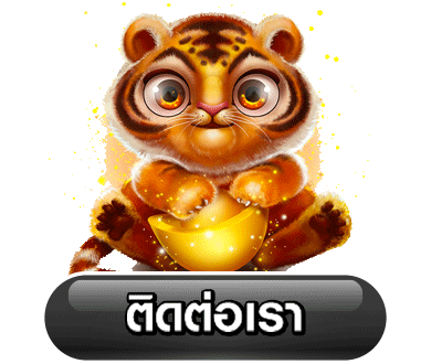 TG9X ทางเข้า